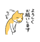 3びきの茶ねこ～お正月＆あいさつ編～（個別スタンプ：35）