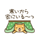 茶柴わん 黒柴わん 白柴わん（個別スタンプ：4）