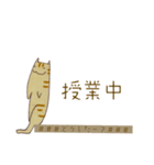 猫のモグ（個別スタンプ：2）