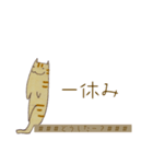 猫のモグ（個別スタンプ：4）