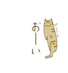 猫のモグ（個別スタンプ：9）