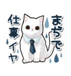 毎日何かしら使える癒しのねこスタンプ（個別スタンプ：13）