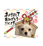 クーたん毎日スタンプ1（個別スタンプ：3）