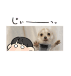 クーたん毎日スタンプ1（個別スタンプ：7）