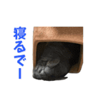 チンチラのおはぎくん8（個別スタンプ：3）