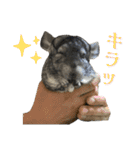チンチラのおはぎくん8（個別スタンプ：14）