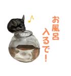 チンチラのおはぎくん8（個別スタンプ：15）