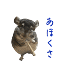 チンチラのおはぎくん8（個別スタンプ：18）