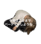 だるいすぴあ（個別スタンプ：6）