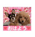 マティラとノアールのかわいい日常スタンプ（個別スタンプ：1）