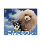 マティラとノアールのかわいい日常スタンプ（個別スタンプ：2）