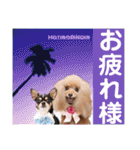 マティラとノアールのかわいい日常スタンプ（個別スタンプ：7）