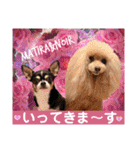 マティラとノアールのかわいい日常スタンプ（個別スタンプ：9）