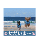 マティラとノアールのかわいい日常スタンプ（個別スタンプ：10）
