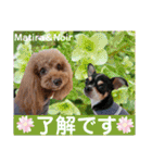 マティラとノアールのかわいい日常スタンプ（個別スタンプ：13）