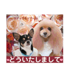 マティラとノアールのかわいい日常スタンプ（個別スタンプ：14）