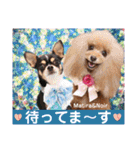 マティラとノアールのかわいい日常スタンプ（個別スタンプ：15）