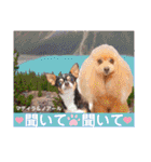 マティラとノアールのかわいい日常スタンプ（個別スタンプ：19）