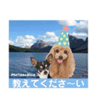 マティラとノアールのかわいい日常スタンプ（個別スタンプ：20）