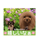マティラとノアールのかわいい日常スタンプ（個別スタンプ：24）