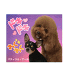 マティラとノアールのかわいい日常スタンプ（個別スタンプ：25）