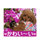 マティラとノアールのかわいい日常スタンプ（個別スタンプ：26）
