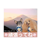 マティラとノアールのかわいい日常スタンプ（個別スタンプ：28）