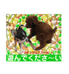 マティラとノアールのかわいい日常スタンプ（個別スタンプ：31）