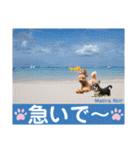 マティラとノアールのかわいい日常スタンプ（個別スタンプ：32）