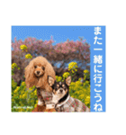マティラとノアールのかわいい日常スタンプ（個別スタンプ：33）