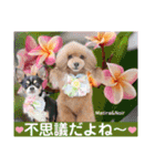 マティラとノアールのかわいい日常スタンプ（個別スタンプ：34）