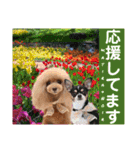マティラとノアールのかわいい日常スタンプ（個別スタンプ：35）
