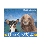 マティラとノアールのかわいい日常スタンプ（個別スタンプ：36）