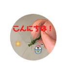 愉快な生き物達！5（個別スタンプ：2）