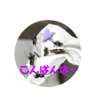 愉快な生き物達！5（個別スタンプ：3）