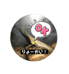 愉快な生き物達！5（個別スタンプ：4）
