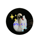 愉快な生き物達！5（個別スタンプ：5）
