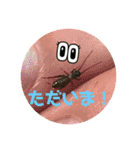 愉快な生き物達！5（個別スタンプ：10）