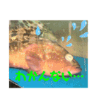 愉快な生き物達！5（個別スタンプ：17）