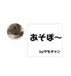 愉快な生き物達！5（個別スタンプ：19）