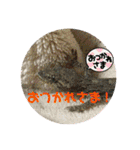 愉快な生き物達！5（個別スタンプ：20）