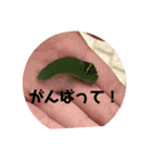 愉快な生き物達！5（個別スタンプ：21）