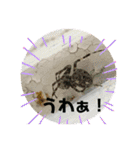 愉快な生き物達！5（個別スタンプ：22）