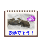 愉快な生き物達！5（個別スタンプ：24）