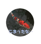 愉快な生き物達！5（個別スタンプ：25）