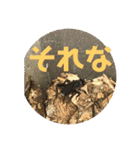 愉快な生き物達！5（個別スタンプ：26）