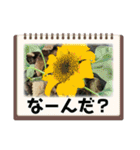 愉快な生き物達！5（個別スタンプ：31）
