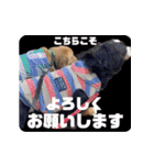 びすけ物語／mimi27（個別スタンプ：2）