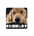 びすけ物語／mimi27（個別スタンプ：14）