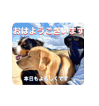 びすけ物語／mimi27（個別スタンプ：32）
